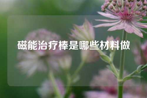 磁能治疗棒是哪些材料做