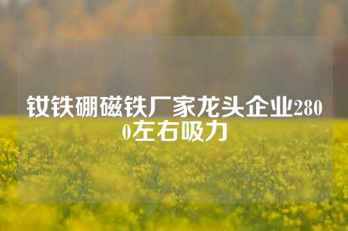 钕铁硼磁铁厂家龙头企业2800左右吸力