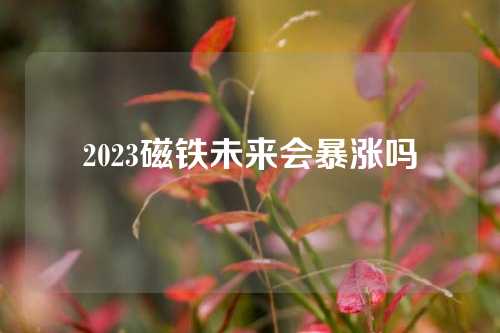 2023磁铁未来会暴涨吗