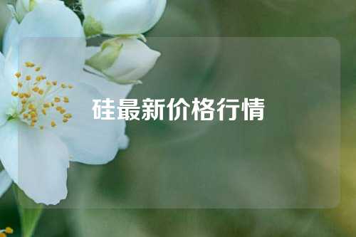 硅最新价格行情