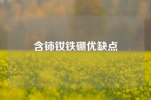 含铈钕铁硼优缺点