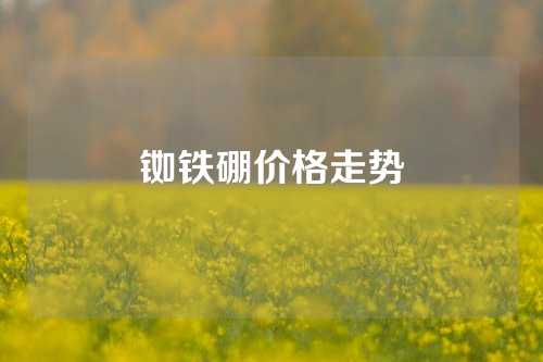 铷铁硼价格走势