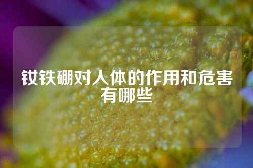 钕铁硼对人体的作用和危害有哪些