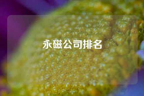 永磁公司排名