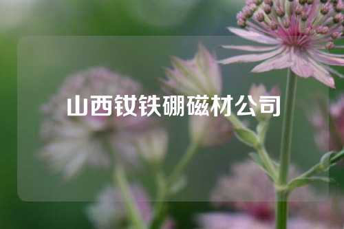 山西钕铁硼磁材公司