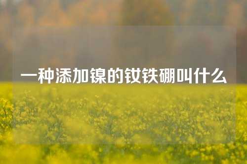 一种添加镍的钕铁硼叫什么