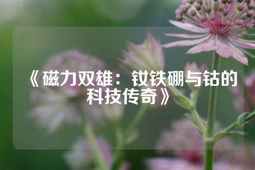 《磁力双雄：钕铁硼与钴的科技传奇》