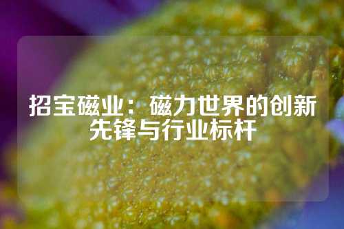 招宝磁业：磁力世界的创新先锋与行业标杆