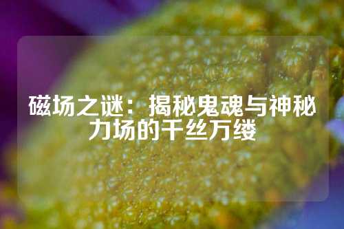 磁场之谜：揭秘鬼魂与神秘力场的千丝万缕