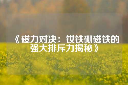 《磁力对决：钕铁硼磁铁的强大排斥力揭秘》