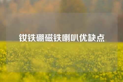 钕铁硼磁铁喇叭优缺点