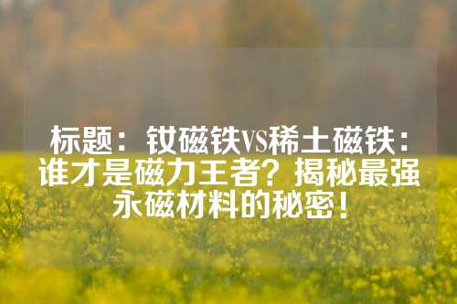 标题：钕磁铁VS稀土磁铁：谁才是磁力王者？揭秘最强永磁材料的秘密！